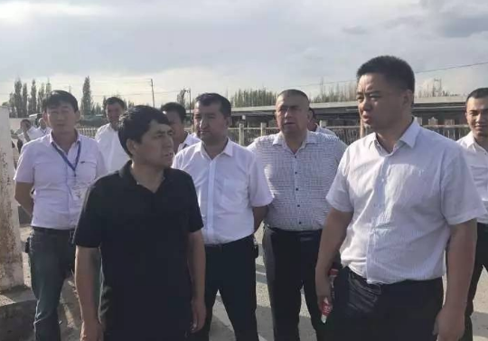 新疆伊犁自治区伊宁市现任市长，副市长是谁